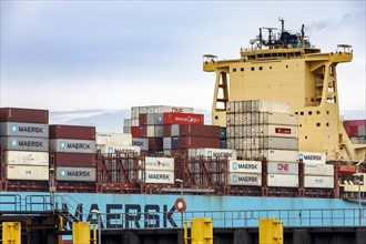 Container ship Maersk Luz in the overseas port