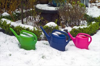 Snowy watering cans in a garden