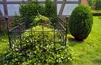 Gravesite covered with ivy