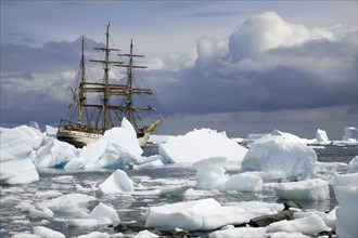 Icebergs and the tallship Europa