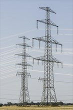 Electricity pylons