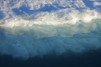 Detail of iceberg in the Kangia icefjord