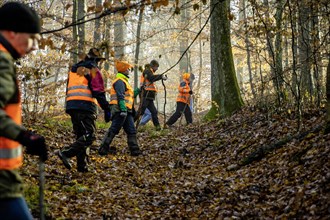 Driven hunt by hunters and beaters in Schoenbuch nature park Park