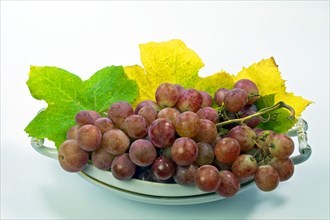 Grapes in an old porcelain bowl