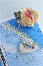 Map of the Great Bahama Bank with Conch Shell
