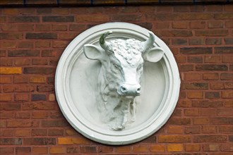 Relief of a cattle head on a house wall