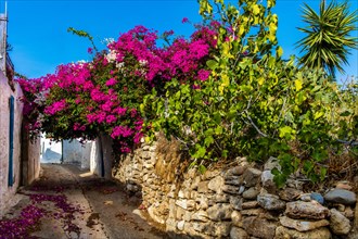 Lachania village