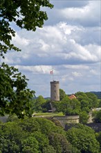 View of the Sparenburg from the Johannisberg