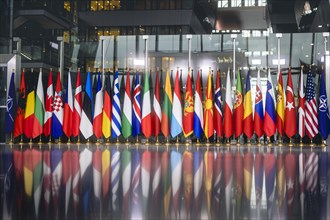 Flags in the main hall