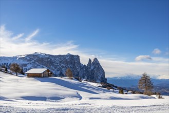 Ski area Alpe di Siusi in winter