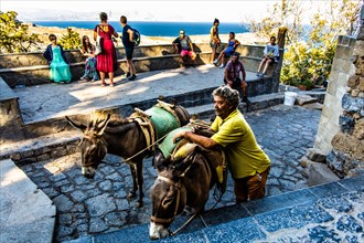 Tourist transport with donkeys to the Acropolis of Lindos