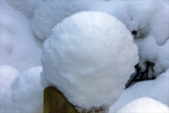 Wooden pole with snow bonnet
