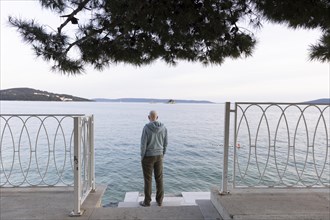 Man standing by the sea under a pine tree looking at the water