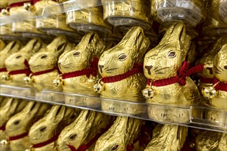 Many chocolate Easter bunnies