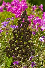 Iron plant ornament in a flower bed