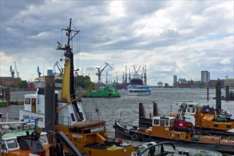 Tugs and launches in the port of Hamburg