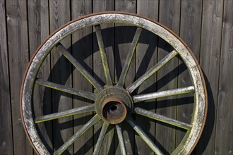 Wooden wagon wheel leaning against a shed wall