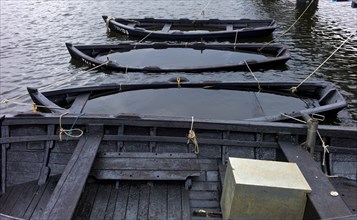 Rowing boats submerged in the harbour of Thiessow