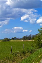 North Frisian Landscape