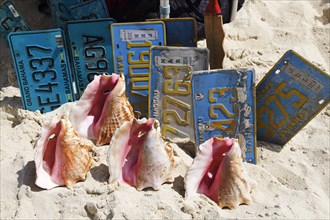 Conch shells and car licence plates are sold as souvenirs at Cabbage Beach