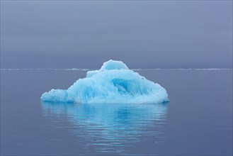 Ice floe drifting in the Hinlopenstretet
