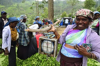 Tea pickers with tea scales at the collection point