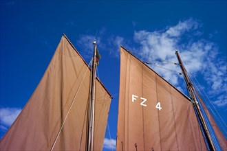 The sails of a Zeesen boat