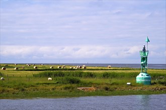 Fedderwardersiel in the district of Wesermarsch buoy at the harbour entrance in the background hay harvest on the dike foreland