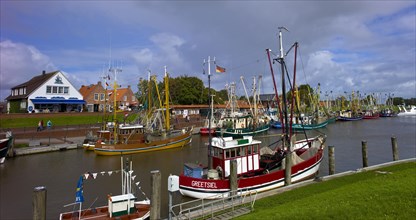 Greetsiel harbour with crab cutters