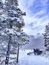 Horse-drawn carriage at the frozen mountain lake Lake Louise near Chateau Lake Louise
