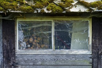 Windows on a wooden barn