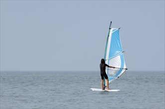 Young girl windsurfing along the North Sea coast