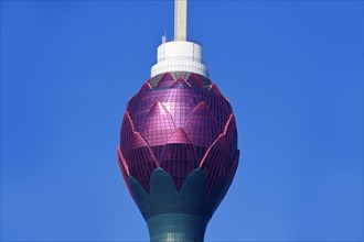 The Lotus Tower