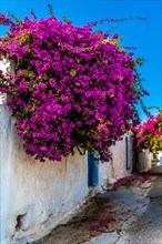 Lachania village