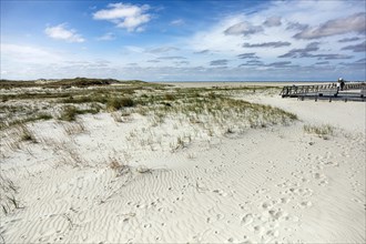 Dune landscape on the coast of Sankt Peter-Ording