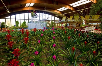 Flower Hall of Wiesmoor