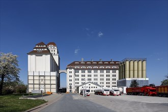 Dresden Mill