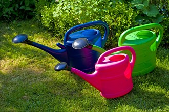 Three plastic watering cans