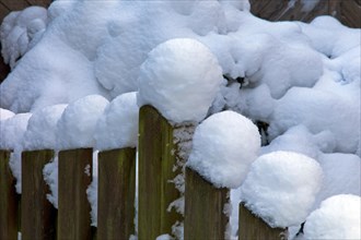 Wooden fence with snow bonnets