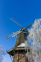 Hinte mill in winter