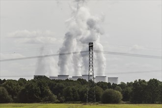 Power lines loom in front of the Jaenschwalde coal-fired power station in Doebbrick
