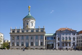 Potsdam Museum