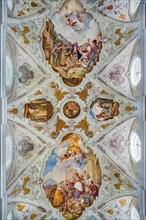 Ceiling frescoes