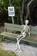 Skeleton sitting at the bus stop of Highbourne Cay