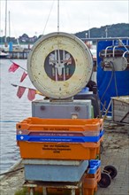 Scales for fish at the harbour of Thiessow