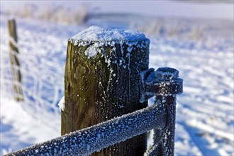 Snowy fence post