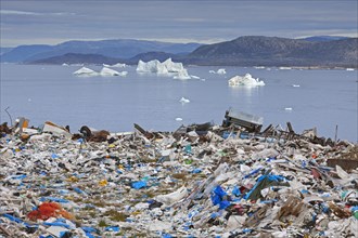 Rubbish at garbage dump and icebergs at Ilulissat