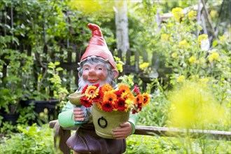 Large garden gnome with flowers in a garden