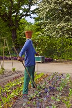 Scarecrow in the Botanical Garden