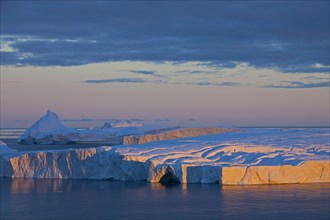 Icebergs at sunrise in the Kangia icefjord